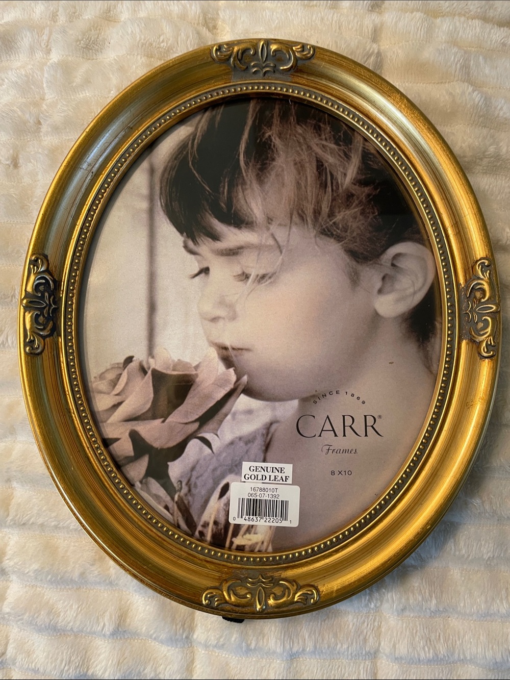 Carr Oval Gold Leaf Picture Frame - Gold Finish